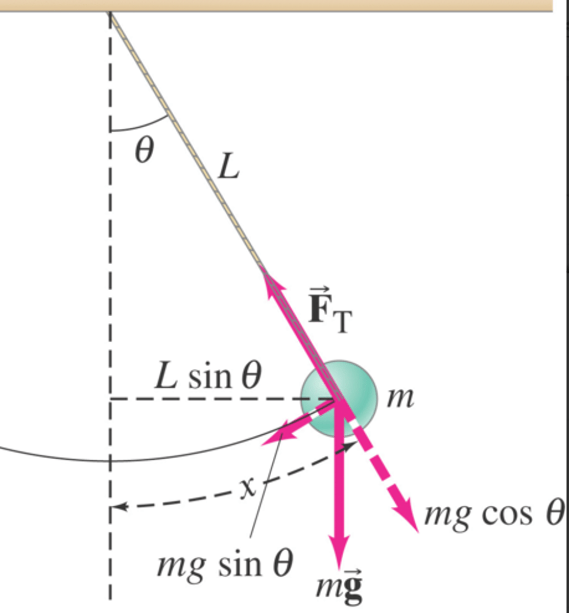 <p>1. The 1st eq will be that Ftcosθ = mg.</p><p>--> The 2nd eq will be Ftsinθ = m4π^2r/T^2</p><p>(because Ftsinθ only find the tangent force to the curved motion of the pendulum)</p><p>2. ummmm find out later ig</p>