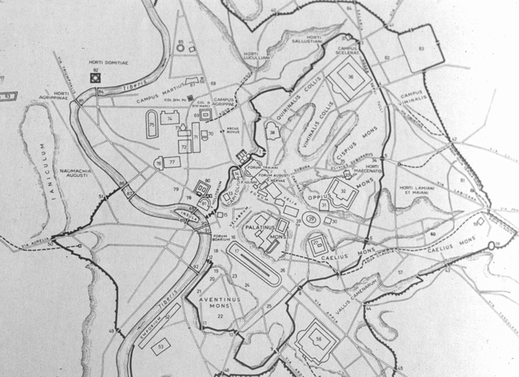 term image