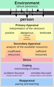 <p>This theory posits that cognitive appraisal of a situation precedes emotional responses, emphasizing the role of thought in shaping emotions. </p>