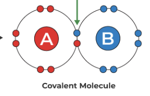 the sharing of valence electrons of non-metal +non metal/ metalloid