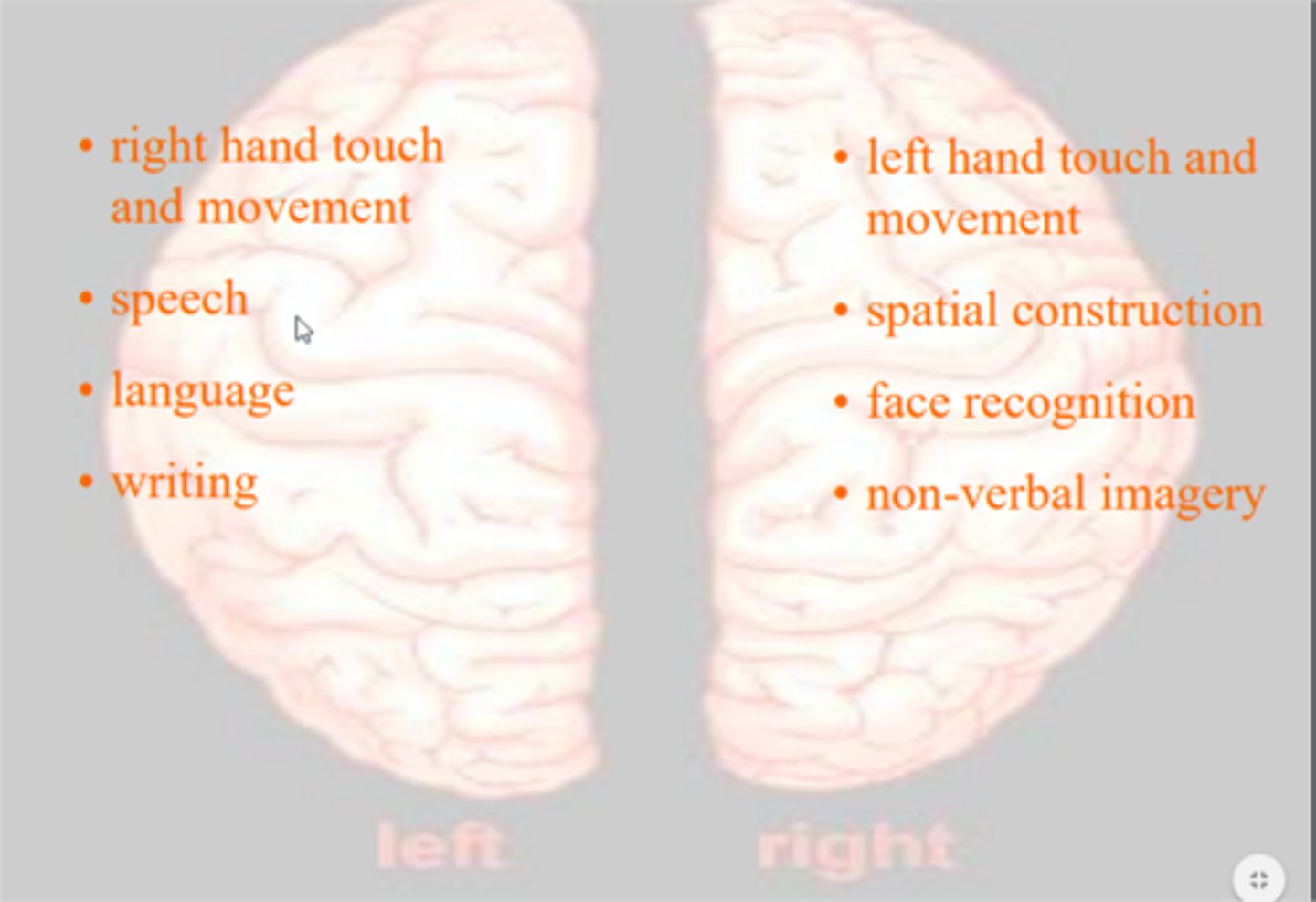 <p>The tendency for one side or area of the brain to carry out specific brain activities. Even though both sides of the brain are almost identical, one hemisphere primarily carries out some functions over others.</p>