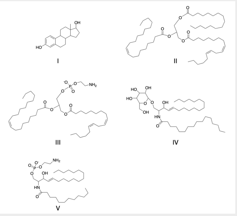 <p>identify the steroid molecule(s)</p>