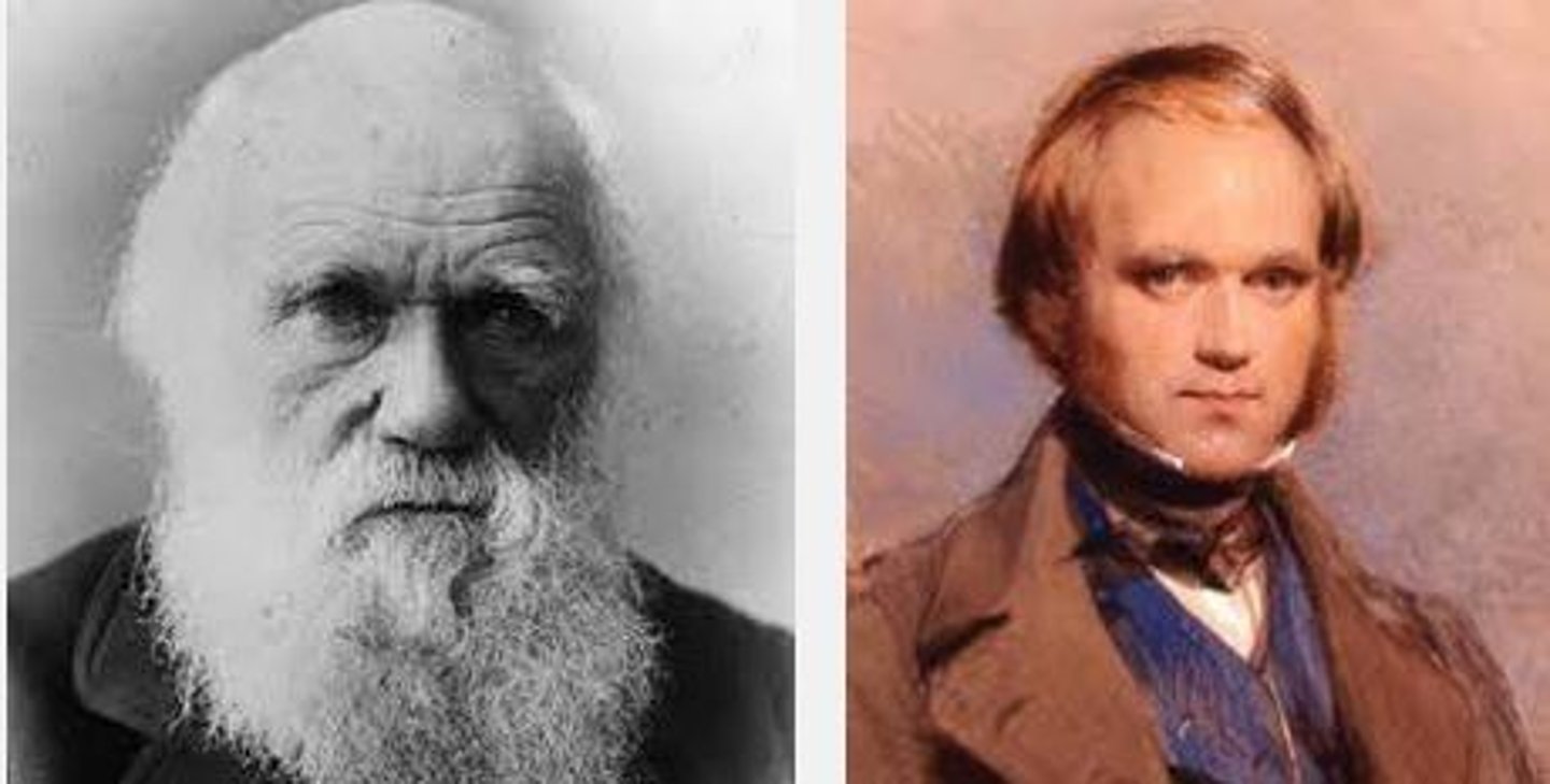 <p>English natural scientist who formulated a theory of evolution by natural selection (1809-1882)</p>
