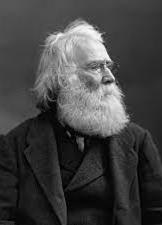 <ul><li><p>provincial geologist</p></li><li><p>first director of the Geologic Survey of Canada (GSC)</p></li></ul><p></p>