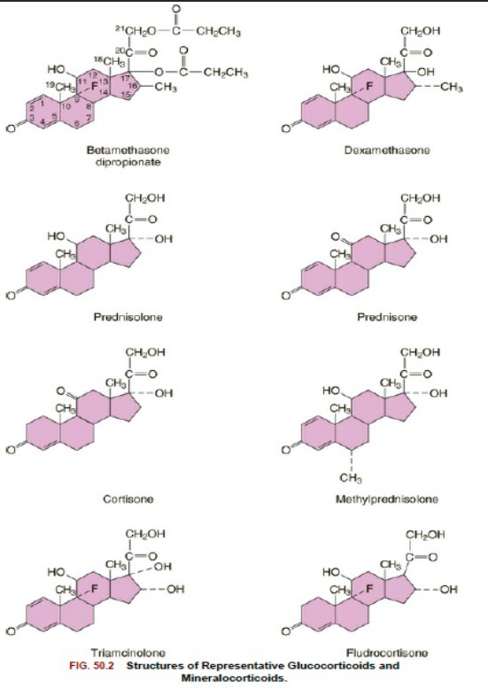 <ol><li><p><span>Addition of a fluorine atom at position 9 = </span><span><span>enhances</span></span><span> glucocorticoid </span><span><span>activity   </span><strong><span>(only activity)</span></strong></span></p></li><li><p><span>Addition of a methyl group at position 16, as present in betamethasone and dexamethasone = </span><span><span>increases</span></span><span> receptor </span><span><span>activation</span></span><span> + increases the </span><span><span>duration</span></span><span> of action of these compounds </span><span><strong><em><span>(duration + activity)</span></em></strong></span></p></li></ol><p><br></p>