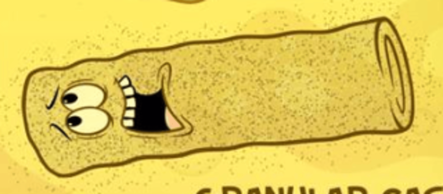 <p>chronic renal failure; muddy brown = ATN</p>