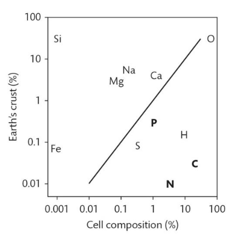 <p>The relative abundance of elements in the Earth’s crust drastically differs from the relative abundance of elements in living cells and organic matter. The image from the book below demonstrates that Fe, Si, Mg, Na, and Ca are enriched in the ______.</p><p>a. Atmosphere</p><p>b. Biosphere</p><p>c. Lithosphere</p><p>d. Hydrosphere</p>