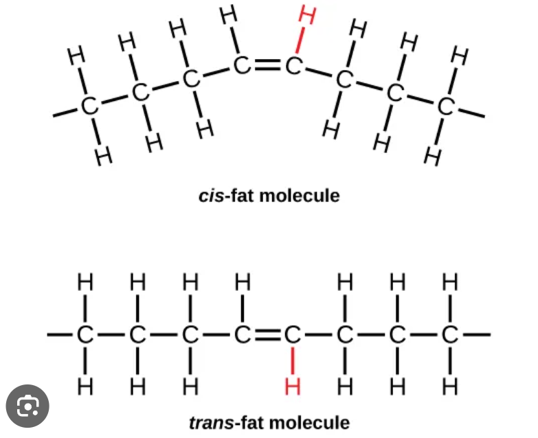 <p>trans fat</p>