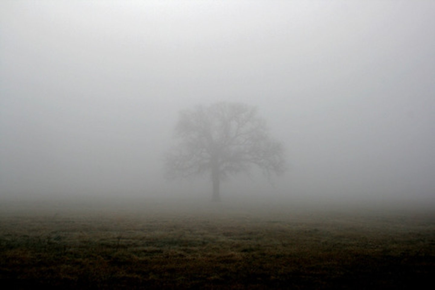 <p>a mass of small drops of water in the air close to the ground (hơi nước)</p><p>ex: The whole valley was covered with mist this morning</p>