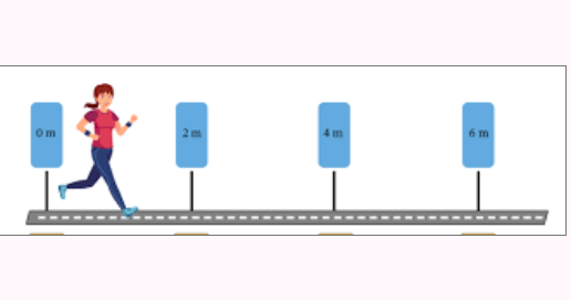 <p>Meter (m)</p>