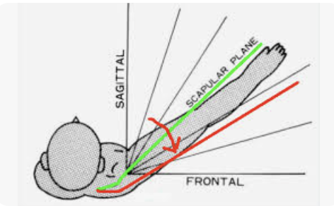 <p>The <strong>scapular plane</strong> is the plane of movement <strong>aligned with the natural resting position of the scapula</strong> on the posterior rib cage.</p><ul><li><p>It lies approximately <strong>30–45° anterior to the frontal plane</strong>, so movements in this plane occur <strong>in line with the scapula</strong>, not directly frontal.</p></li></ul><p></p>