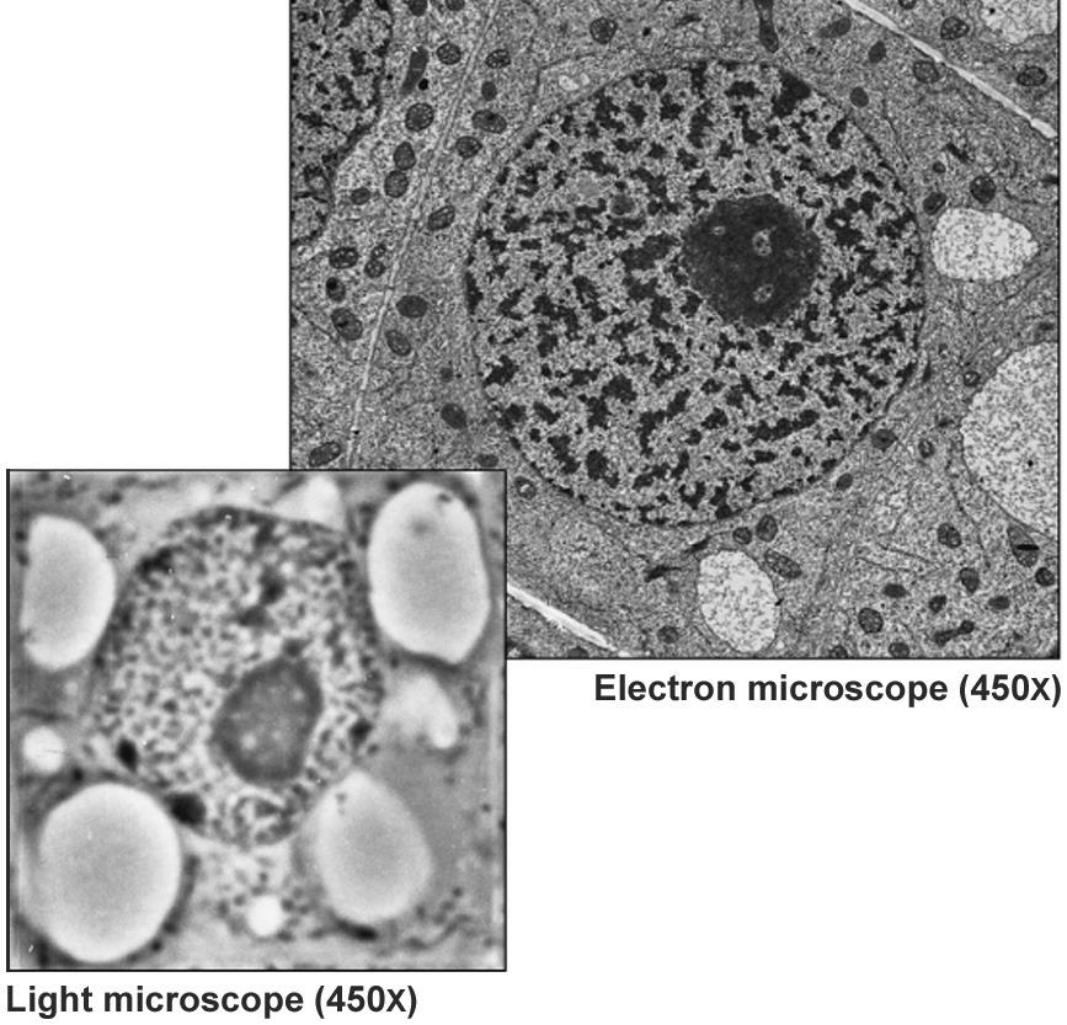 <p>electrons instead of photons</p><p></p>