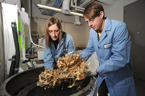 A measure of the total dry mass of organisms within a particular region