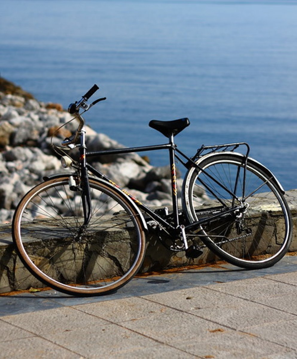 <p>to ride a bike</p>