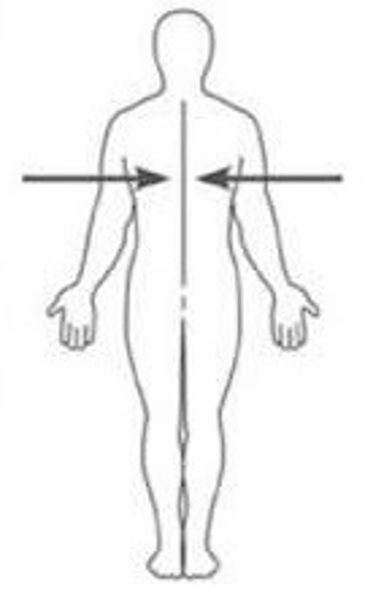 <p>Left = language, logic, sequencial tasks; right body<br>Right = social and creative; left body</p>