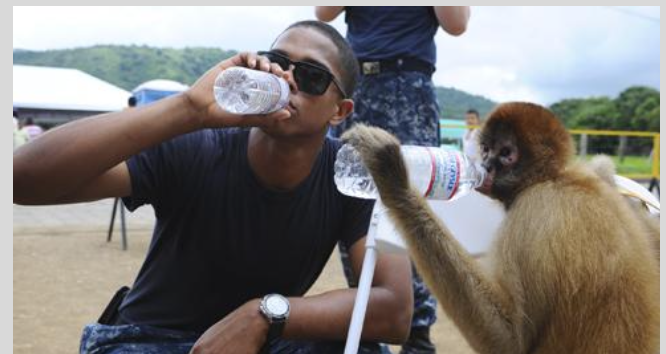 <p>uses mirror neurons and you imitate a model (individual performing the behavior), especially if they have good qualities (Lebron)</p>