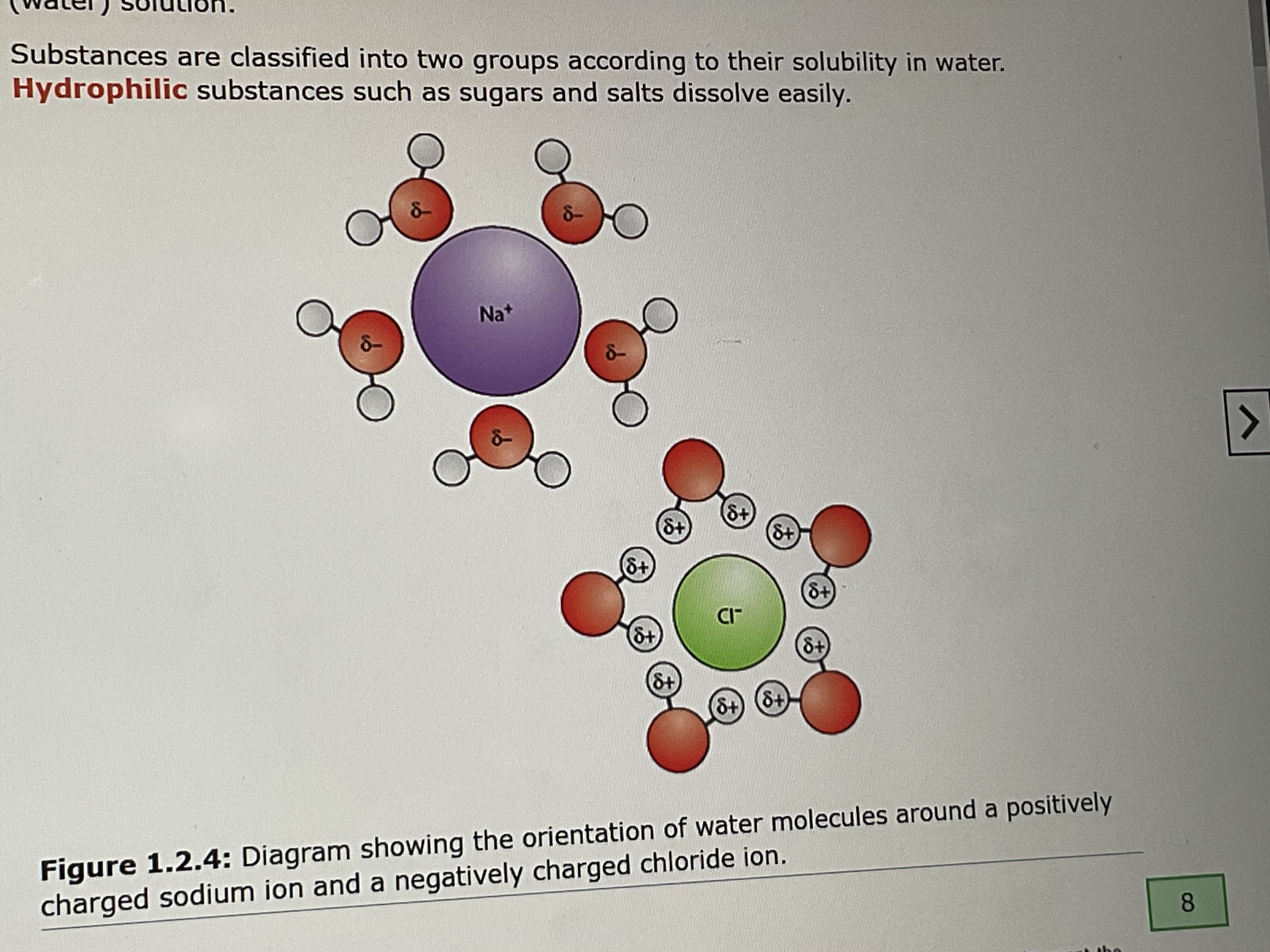 <p>because the positive or negative charges of the ions are attracted to the charge of water molecules</p>