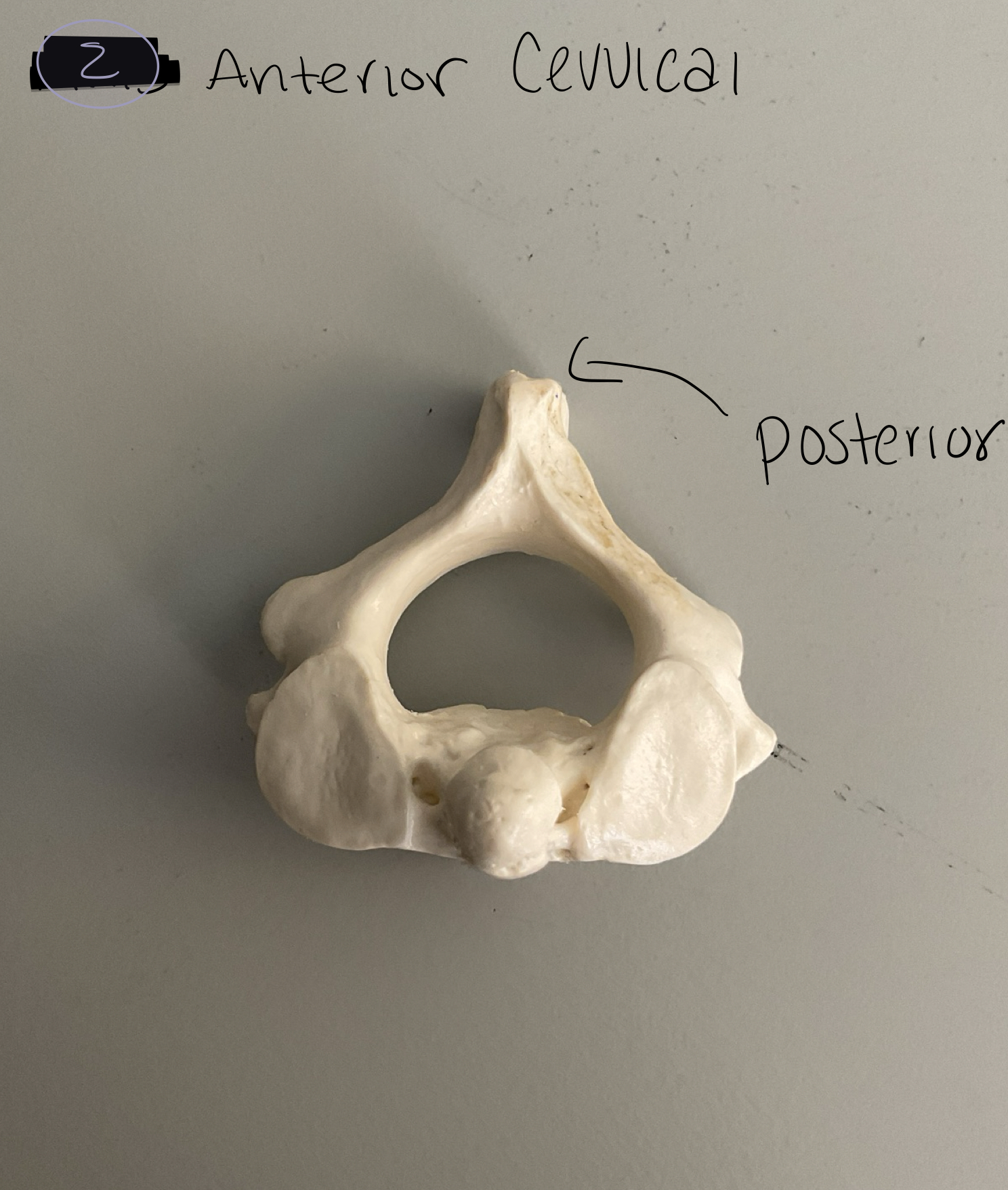 <p>2</p>