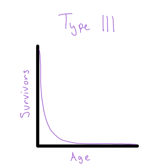 <p>Survivorship Curve- Type 3</p>