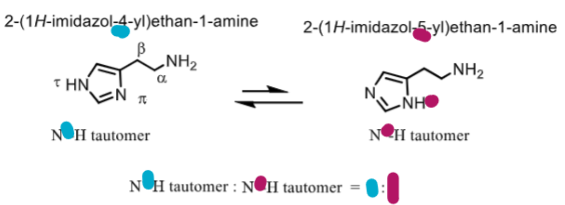 <p>which conformation of histamine is most active and prevalent? </p>