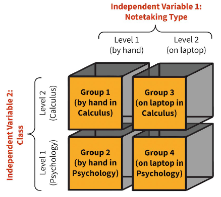 <ul><li><p>Two independent variables in the same study</p></li><li><p>Different participants in the various conditions</p></li><li><p>4 groups</p></li><li><p>(# x #) # refer to the number of levels in each factor </p></li></ul>