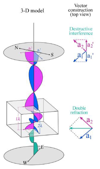 <p>explain this diagram</p>