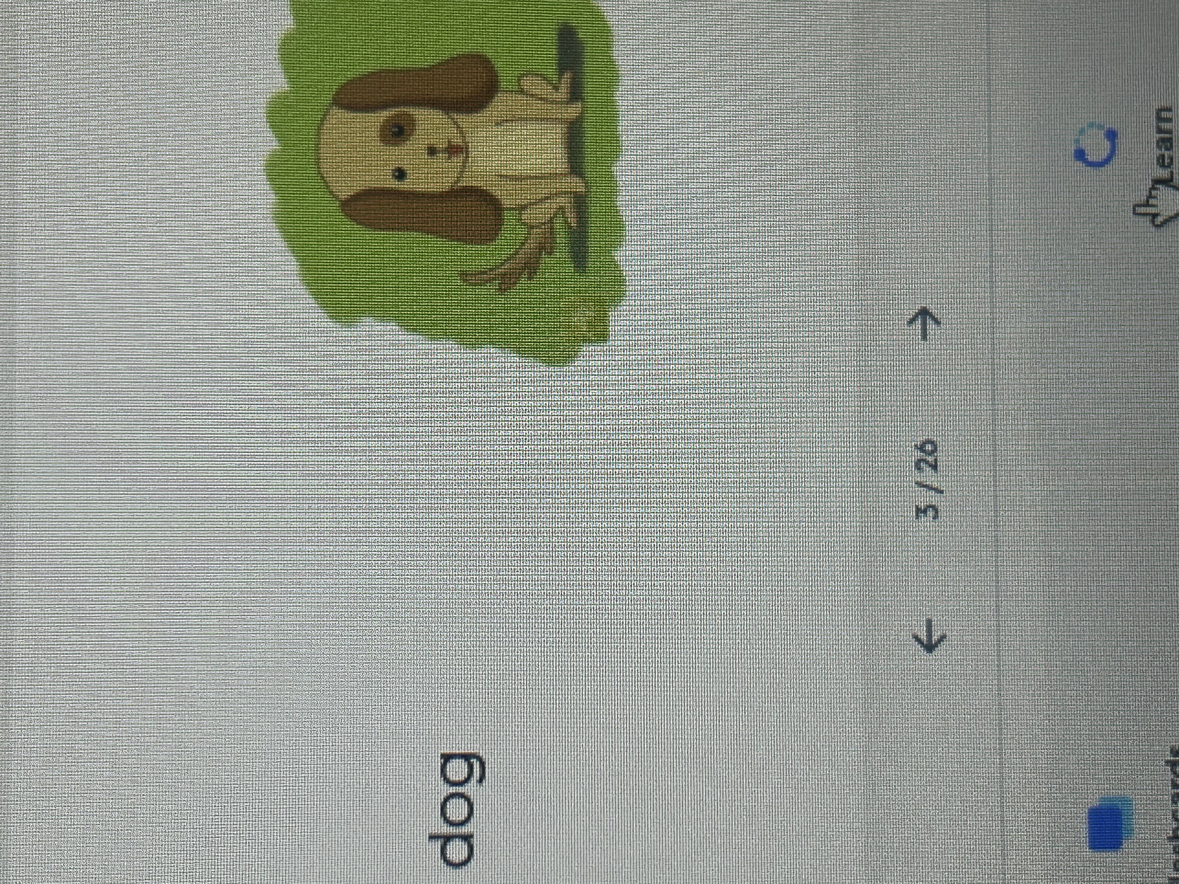 knowt flashcard image