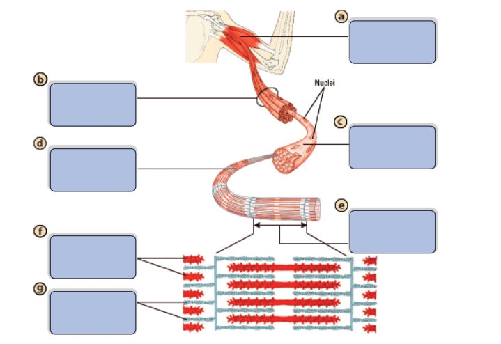 <p>What is the name of structure d?</p>