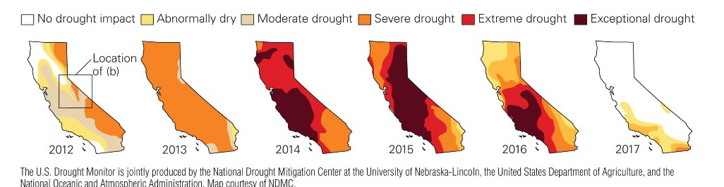 <ul><li><p>2011-2017</p><ul><li><p>devasted crops</p></li><li><p>inconvenienced millions of peep</p></li><li><p>killed millions of trees</p></li></ul></li><li><p>reservoirs dropped to all-time low lvls</p></li></ul>