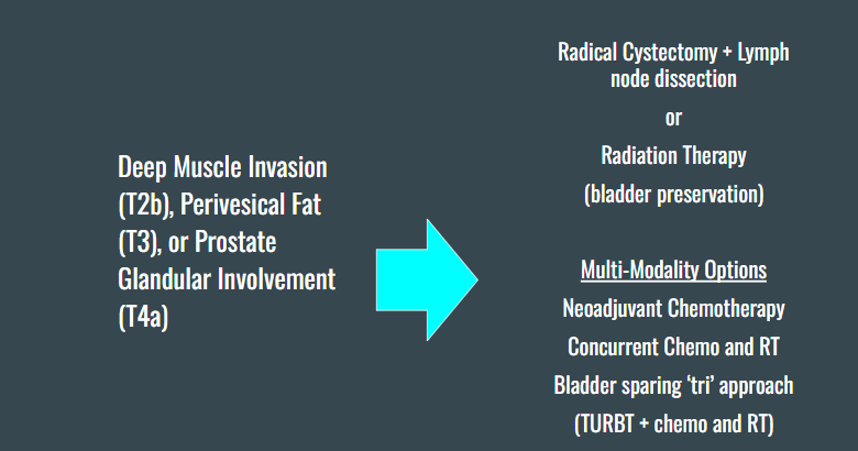 <ul><li><p>radical cystectomy + LN dissection</p><ul><li><p>or RT (for bladder preservation)</p></li></ul></li><li><p>we also have multimodality options for concurrent chemo and RT or tri approach</p></li></ul><p></p>