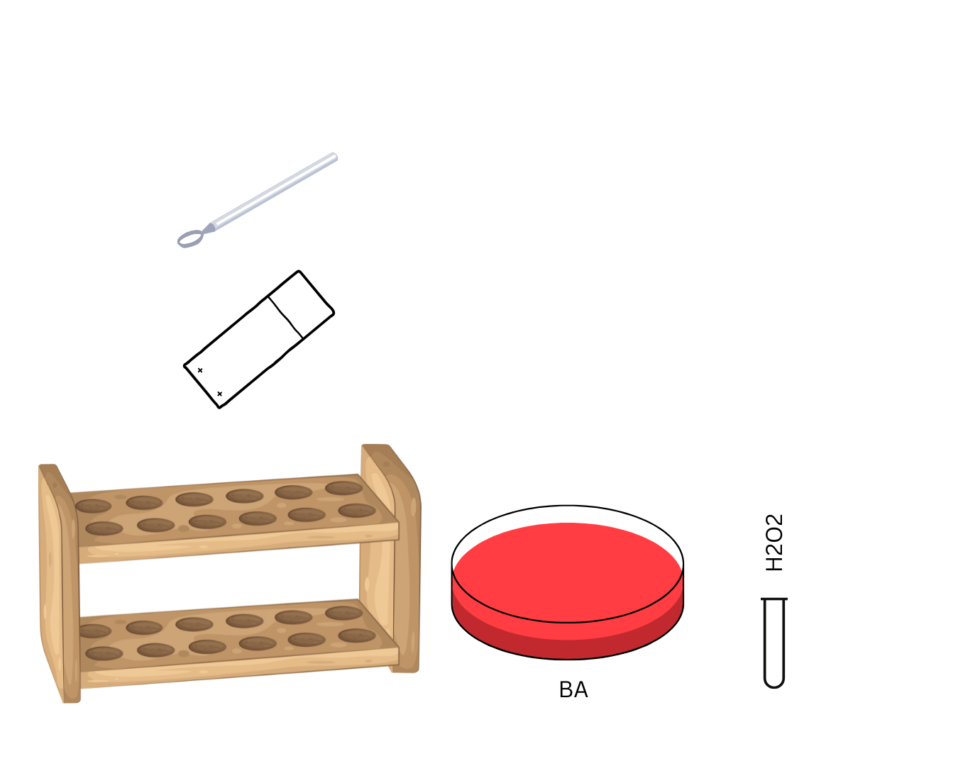 <p>element responsible for the positive result</p>