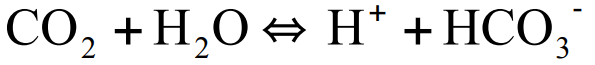 <ul><li><p>Catalyzes the conversion of CO<sub>2</sub> to bicarbonate (HCO<sub>3</sub><sup>-</sup>) in red blood cells</p></li><li><p>As oxygen is consumed, CO<sub>2</sub> is released</p></li></ul><p></p>