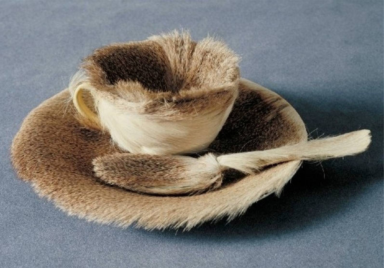 <p>Meret Oppenheim, Surrealism</p>