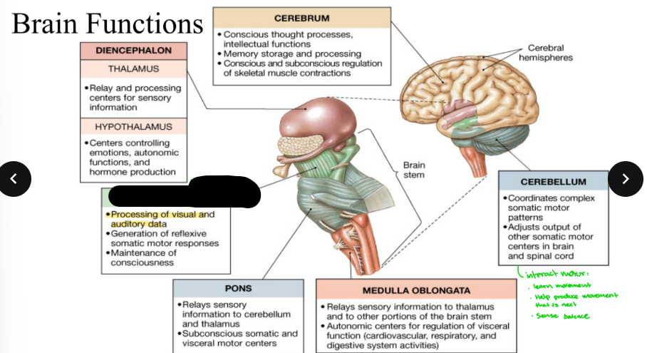 <p>What part is blacked out?</p>