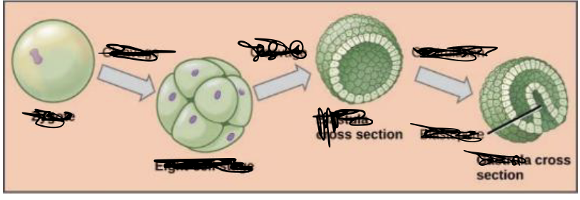 <p>2</p>