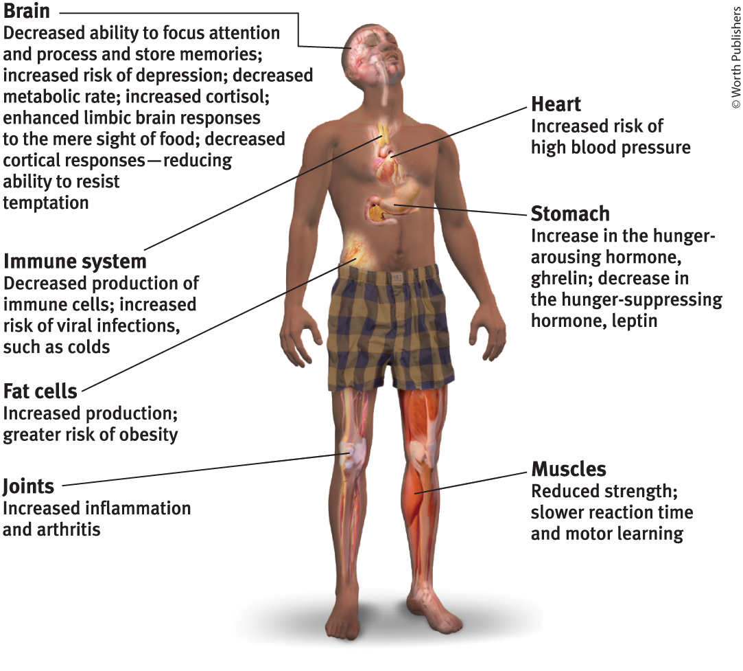 <p>What results from sleep deprivation?</p>