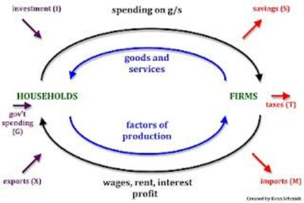 <p>A model of the economy which shows the flow of goods and services, the factors of production and money around the economy.</p>