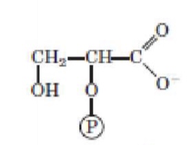 <p>What structure is this?</p>