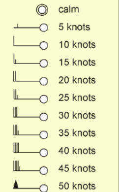 <p>Name this</p>