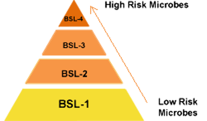 <p>BSL-1</p><p>BSL-2</p><p>BSL-3</p><p>BSL-4</p>