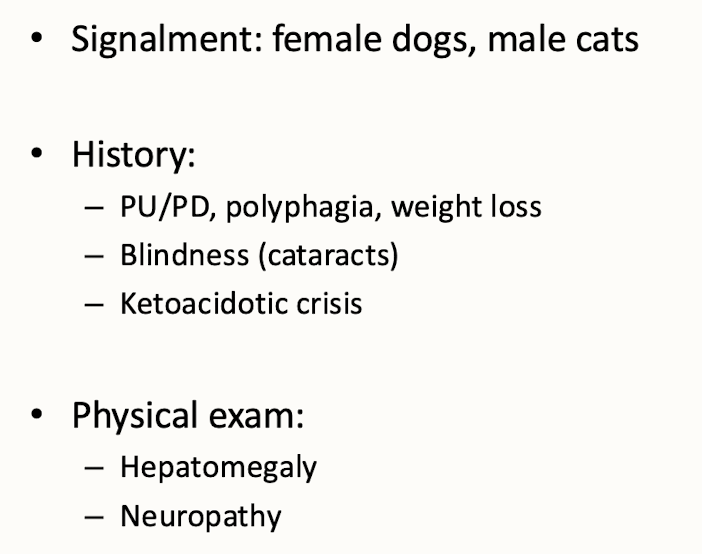 <p>PU/PD (polydipsia and polyuria), weight loss, and increased appetite (polyphagia).</p>