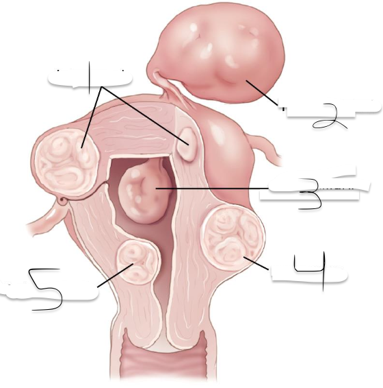 <p>1?</p>
