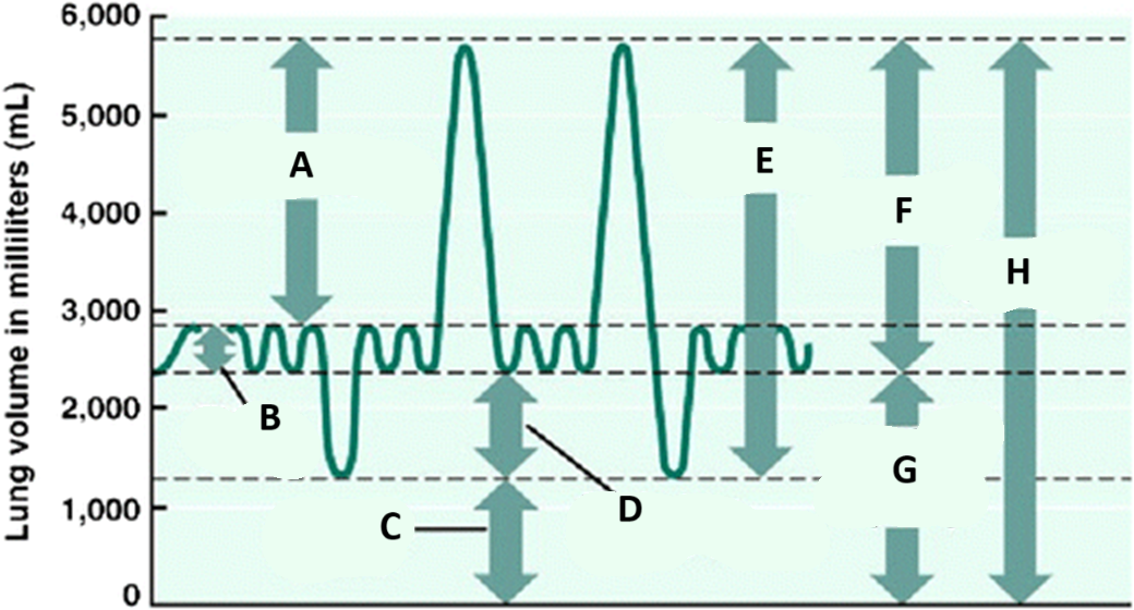 <p>A</p>