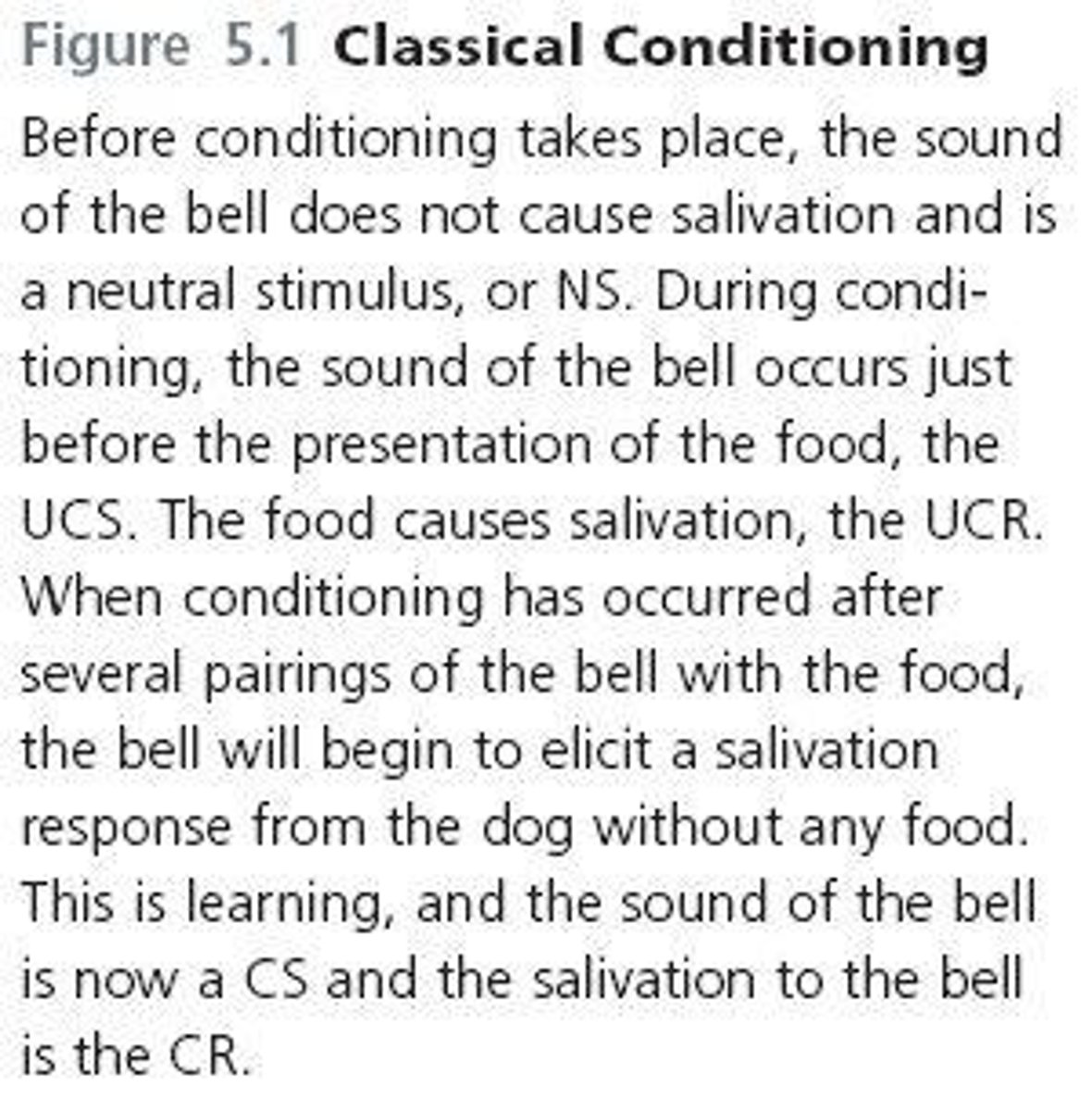 <p>Ivan Pavlov, a Russian physiologist.</p>