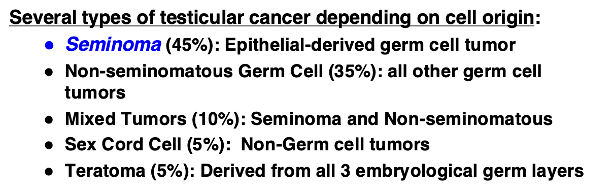 <ul><li><p>penis: squamous cell carcinoma of skin (HPV may be a cause)</p></li><li><p>prostate: adenocarcinoma</p></li><li><p>testis: cancer of young men, incidence peaks ages 24-45</p></li><li><p>testicular cancers respond well to chemotherapy and have a 5-yr survival rate &gt;90%</p></li><li><p><strong>Rule of 90’s</strong> for testicular cancer: 90% age 25-45, 90% germ cell tumors, 90% malignant, 90% curable</p></li></ul><p></p>