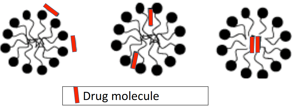 <p>Why are the three regions of the micelle are important?</p>
