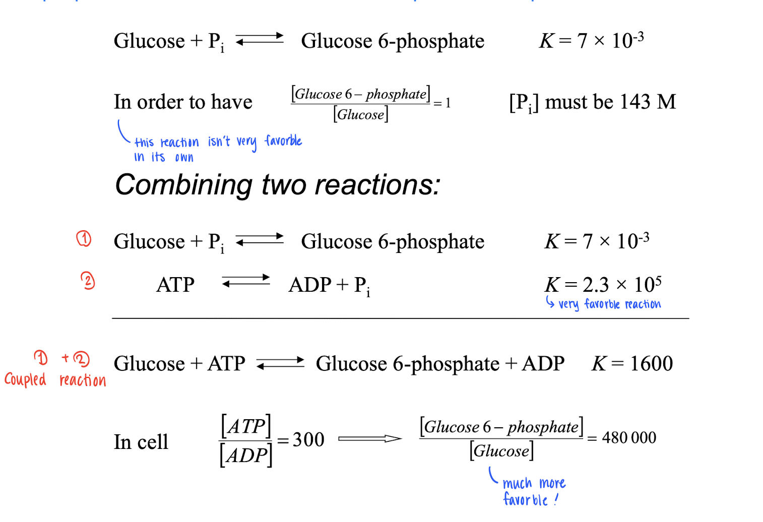 <p>For a reaction to be favorable, (ΔG &lt; 0), and some times, that doesn’t accour. However, you add more step reactions to make the TOTAL (ΔG &lt; 0). So you can mix reactions to make it more favorable! </p><p></p>