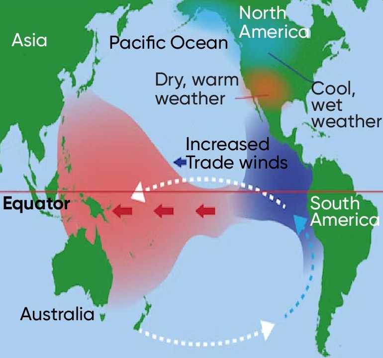 <p>stronger than normal trade winds W ← E, increased upwelling off South Amer coast, productive fisheries</p>