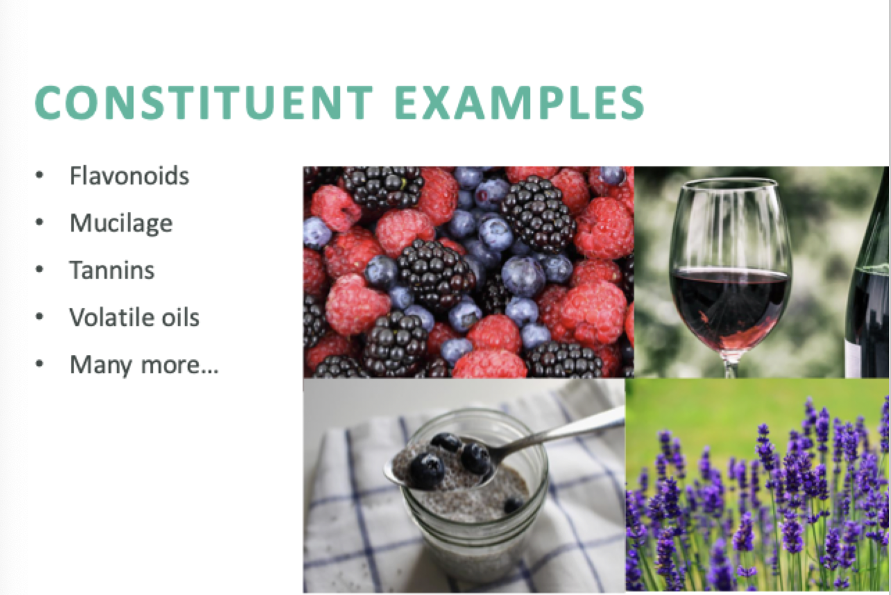 <p>What are herbal constituents?</p>