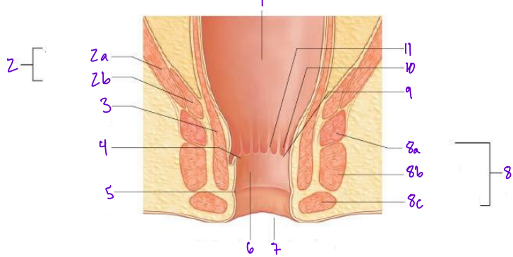<p>10</p>